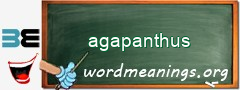 WordMeaning blackboard for agapanthus